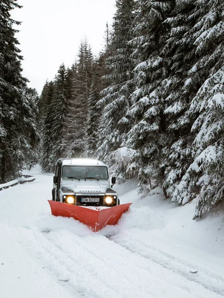 Bir kar küreme aracı arka planda köknar ağaçlarıyla çevrili bir dağ ile yolda kar temizliyor.