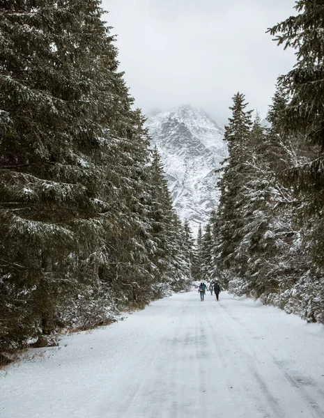 Arka planda köknar ağaçlarıyla çevrili bir dağ ile karla kaplı bir yolda iki kişi yürür.
