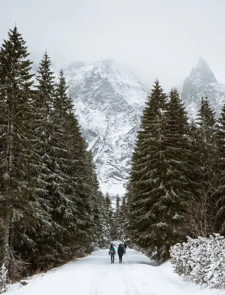 Arka planda köknar ağaçlarıyla çevrili bir dağ ile karla kaplı bir yolda iki kişi yürür.