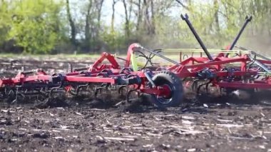 Kırmızı ekiciler yazın tarlayı sürerler.