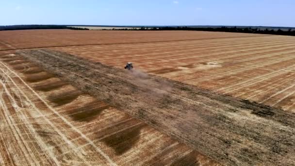 Αεροφωτογραφία. εργασίες τρακτέρ και κόκκινο καλλιεργητή στο πεδίο κατά τη θερινή ημέρα Royalty Free Βίντεο Αρχείου