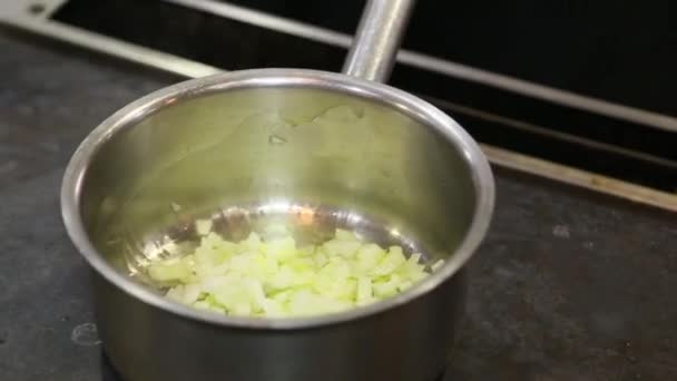 Cozinhe fritas cebolas em uma panela mexendo com uma colher Videoclipe