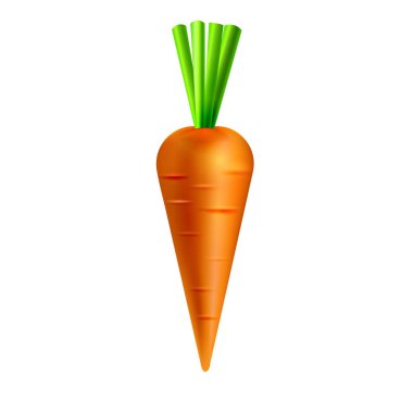 Beyaz arkaplanda havuç izole