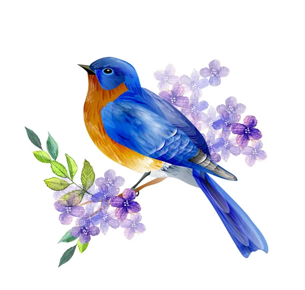 Burung dari vektor Spring Grafik Vektor