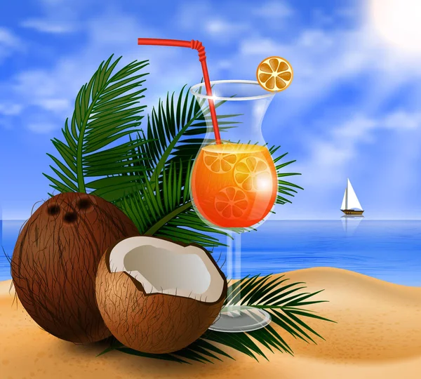 Kokosnuss tropischen Nuss Hintergrund — Stockvektor