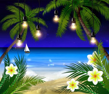 Geceleri palmiye ağaçları