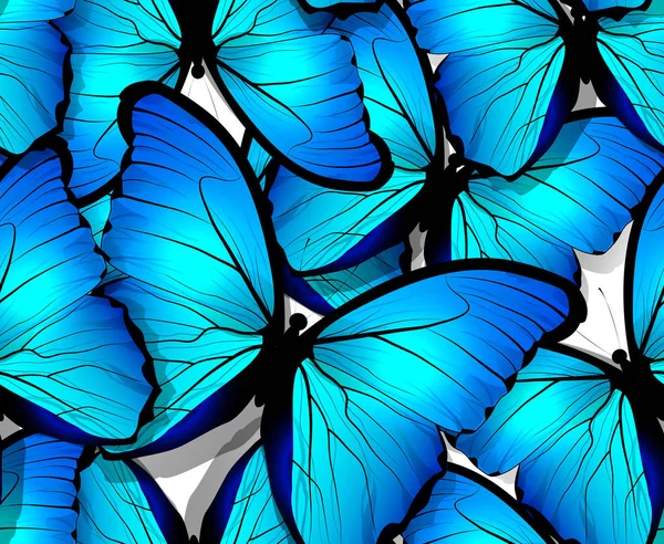 Alas de patrón de mariposa sin costuras en blanco — Vector de stock