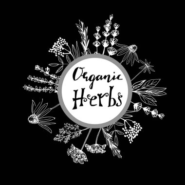 Otlar ve şifalı bitkiler koleksiyonu. Vektör el izole nesneleri beyaz çekilmiş.