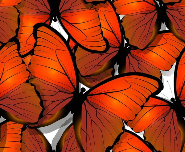 Pola sayap kupu-kupu mulus pada warna putih - Stok Vektor