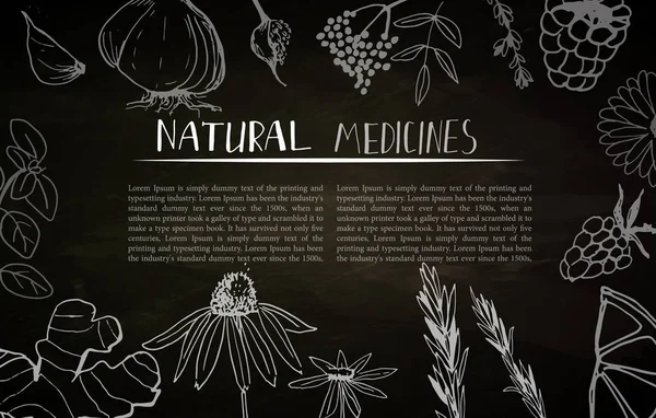 ハーブと薬用植物のコレクション。ベクトル手白の孤立したオブジェクトの描画 — ストックベクタ