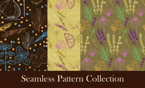 Herbs and medicinal plants seamless patterns — Stock Vector