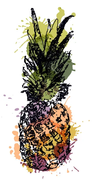 Croquis vectoriel simple Ananas — Image vectorielle