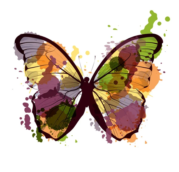 Arte dibujado símbolo de mariposa de colores en el vector — Vector de stock