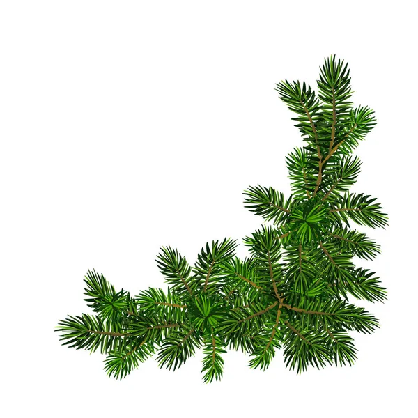 Two green spruce branches realistic. Christmas vector illustration — Stock Vector