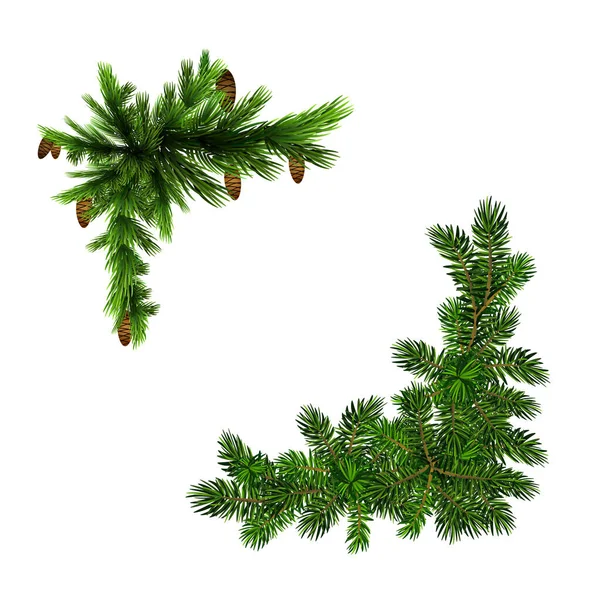 Dvě zelené smrkové větve realistické. Vánoční vektorová ilustrace — Stockový vektor