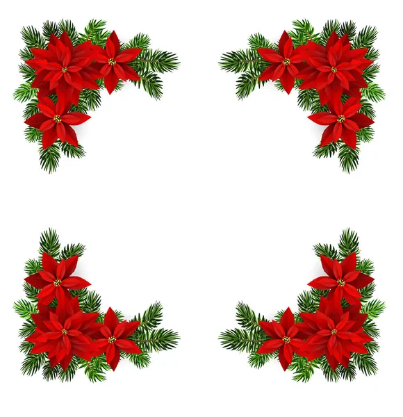 Vector. Kerst decoratie: evergreens frame geïsoleerd — Stockvector