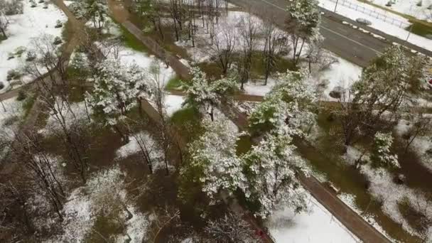 Voando Sobre Parque Início Primavera Protegido Pela Neve Circulando Sentido — Vídeo de Stock