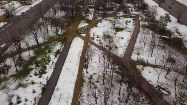 Latanie Nad Parkiem Wczesną Wiosną Osłonięte Śniegiem Lecąc Ścieżkami Nagranie — Wideo stockowe