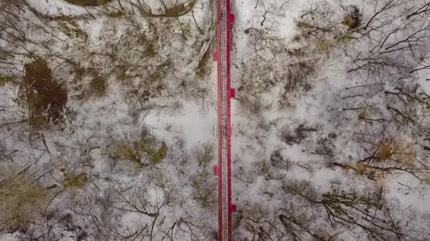 Vista Aérea Ponte Ferroviária Vermelha Estrada Ferro Das Crianças Parque — Vídeo de Stock