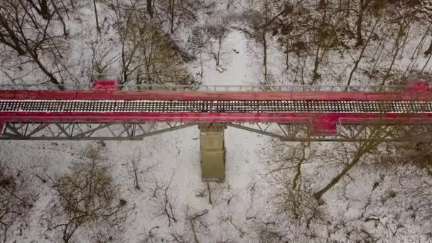 Vista Aérea Ponte Ferroviária Vermelha Estrada Ferro Das Crianças Parque — Vídeo de Stock