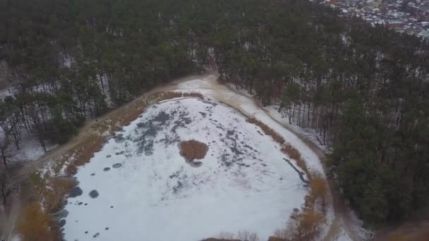 Kışın Karlı Göl Ormanın Havadan Görünüşü — Stok video