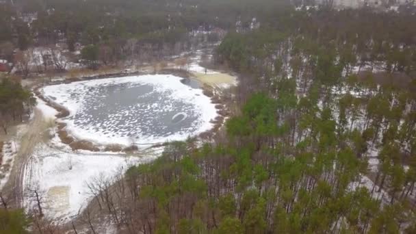 冬の積雪湖と森の空中風景 — ストック動画