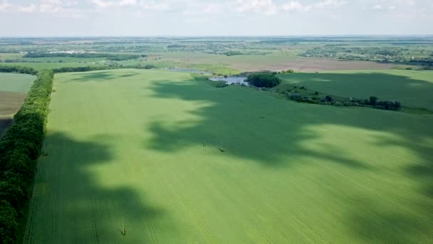 Вид Воздуха Красивые Сельскохозяйственные Поля — стоковое видео