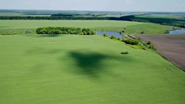 美しい農地の空中風景 — ストック動画
