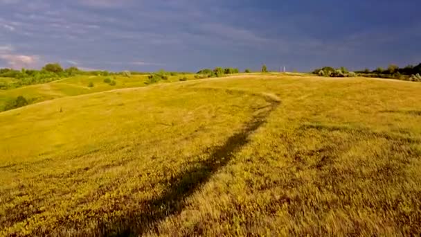 Vista Aérea Belos Campos Agrícolas — Vídeo de Stock