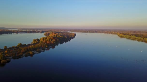 Vista Aérea Aves Volando Sobre Río Kiev — Vídeo de stock