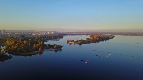 Vue Aérienne Des Oiseaux Survolant Rivière Kiev — Video