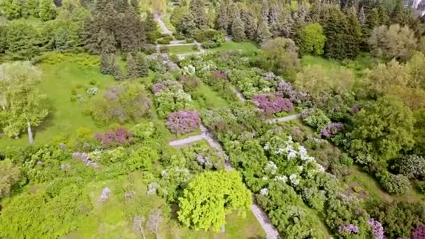 花のある美しい庭園の空中風景 — ストック動画