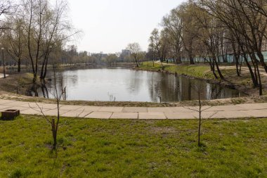 Baharın başında şehir göleti. Yeşil çimlerin kıyısında.