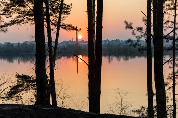 Pôr Sol Sobre Lago Uma Floresta Pinheiros Início Primavera — Fotografia de Stock