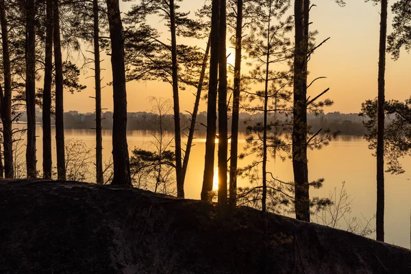 Pôr Sol Sobre Lago Uma Floresta Pinheiros Início Primavera — Fotografia de Stock