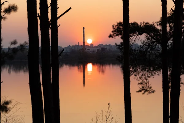 Pôr Sol Sobre Lago Uma Floresta Pinheiros Início Primavera — Fotografia de Stock