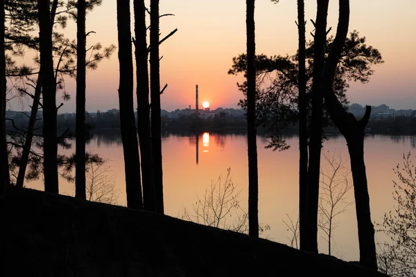 Pôr Sol Sobre Lago Uma Floresta Pinheiros Início Primavera — Fotografia de Stock