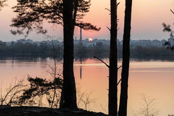 Západ Slunce Nad Jezerem Borovém Lese Jaře — Stock fotografie