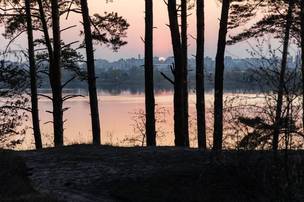 Západ Slunce Nad Jezerem Borovém Lese Jaře — Stock fotografie