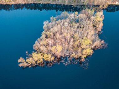 Kıyıya yakın küçük bir ada. Yoğun yaprak döken ağaçlar eğik. 