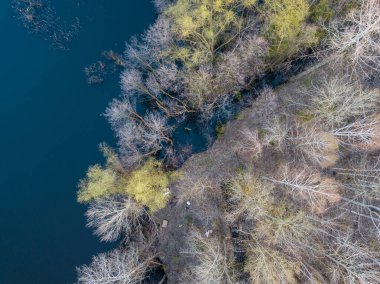 Kıyıya yakın küçük bir ada. Yoğun yaprak döken ağaçlar eğik. 