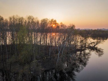 Adanın ender ağaçlarının arasından batan güneşin ışınları 