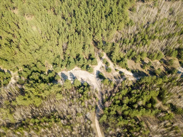 Camino Tierra Bosque Coníferas Primavera Drone Aéreo Vie — Foto de Stock