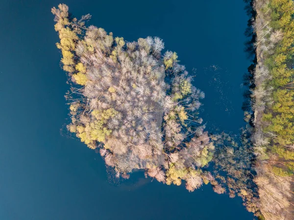 一个靠近海岸的小岛 茂密的落叶树倾斜着 — 图库照片