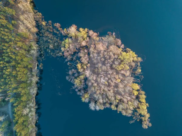 Een Klein Eiland Vlakbij Kust Dichte Loofbomen Zijn Gekanteld — Stockfoto