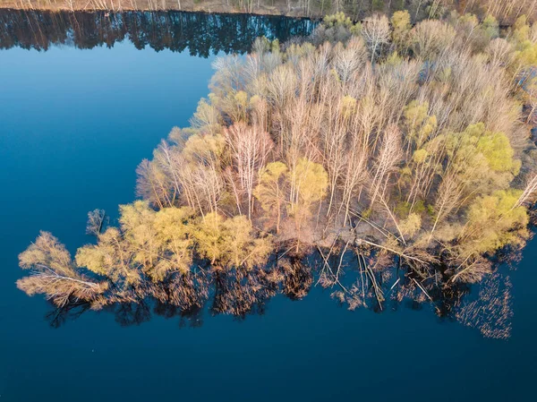 가까이에 섬들을 공중에서 내려다본덴스 낙엽수는 기울어져 — 스톡 사진