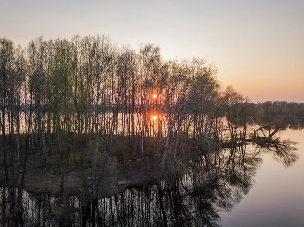 Raios Pôr Sol Através Árvores Raras Ilha — Fotografia de Stock