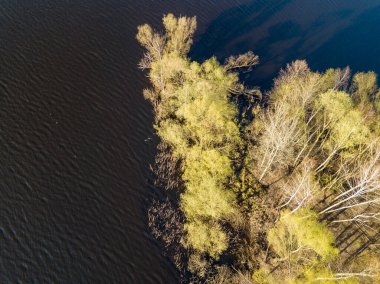 Güneşli bir havada, orman gölünde sık ağaçlarla dolu bir ada. Ae!
