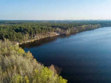 Güneşli bir havada, çam ormanında bir gölün kıyısında. Hava aracı 