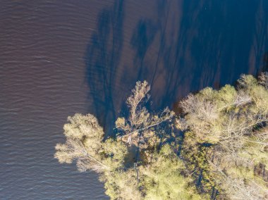 Suda sık ağaçlar olan bir orman gölünün kıyısında. Hava akımı